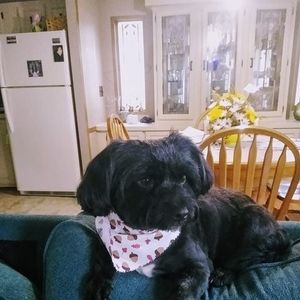 Meet your Posher, Beth